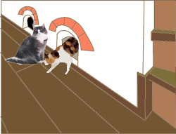 猫間