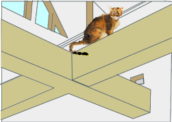 キャットウォーク