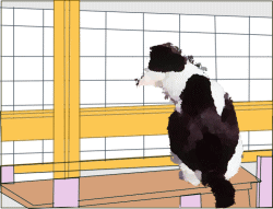 転落防止フェンス