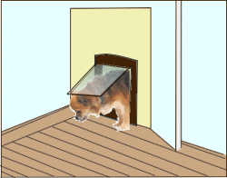 ペットドア