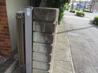 洗浄前